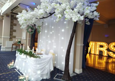 white starlight backdrop with starlight table cover with blossom tree for hire